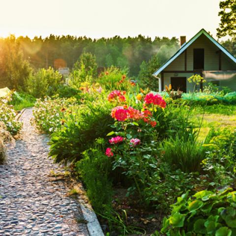 image farms_and_houses_lr_0013-jpg