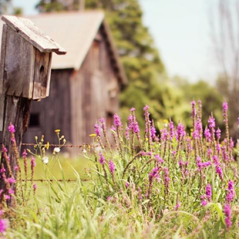 image farms_and_houses_lr_0016-jpg