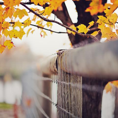 image farms_and_houses_lr_0021-jpg