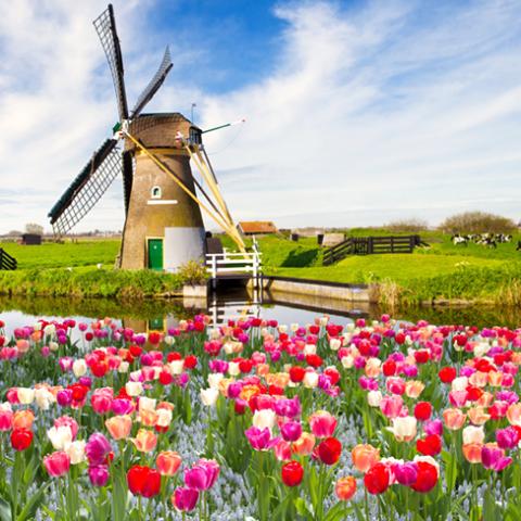 image fields_hr_0004-jpg