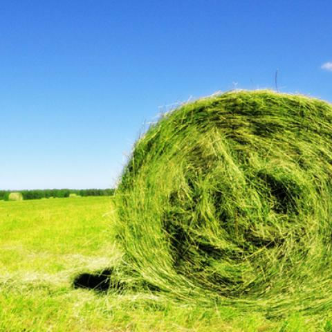 image fields_hr_0006-jpg