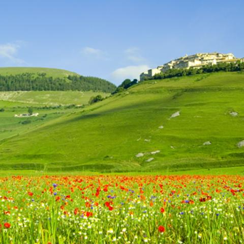 image fields_hr_0017-jpg