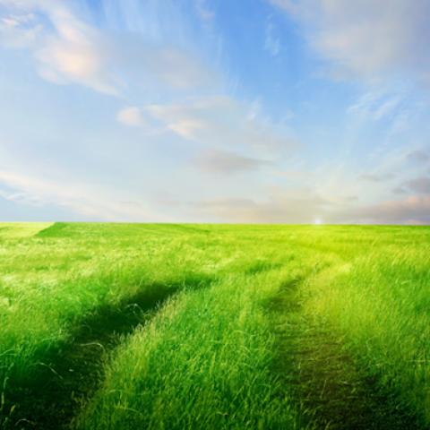 image fields_hr_0018-jpg
