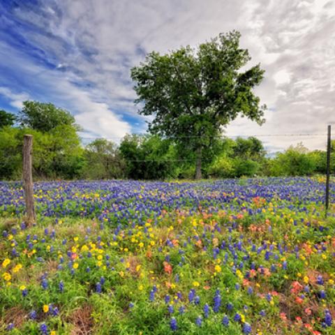image fields_hr_0019-jpg