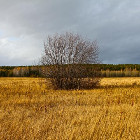 image fields_hr_0022-jpg