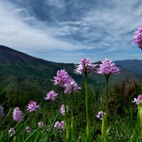 image fields_lr_0002-jpg
