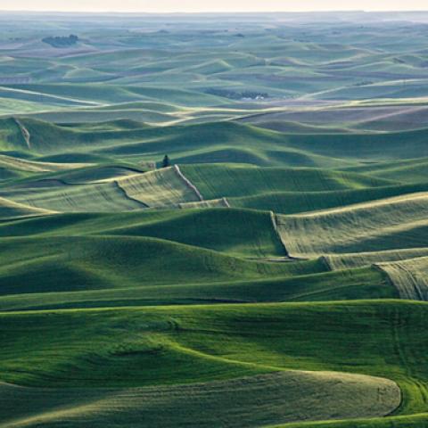 image fields_lr_0011-jpg