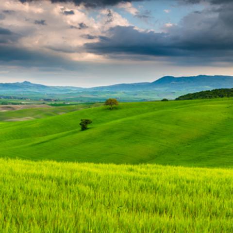 image fields_lr_0016-jpg