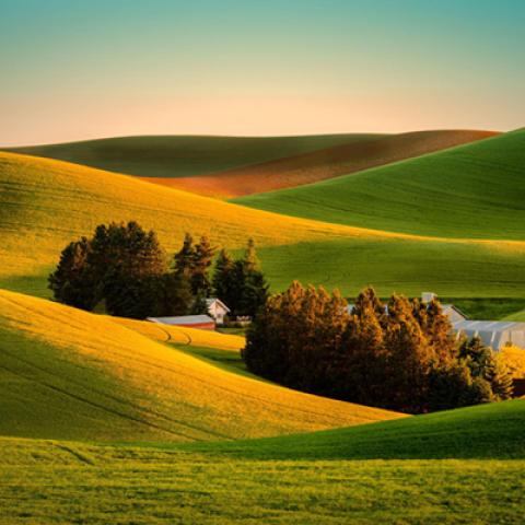 image fields_lr_0017-jpg
