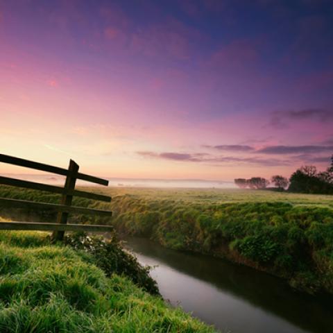 image fields_lr_0019-jpg