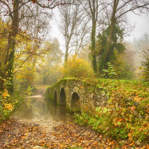 image fog_hr_0007-jpg