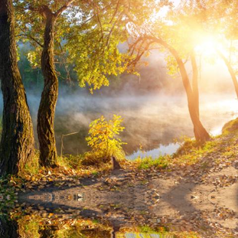 image fog_hr_0020-jpg