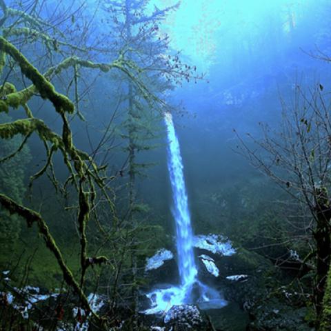 image fog_lr_0012-jpg