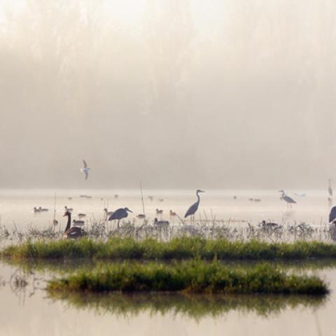 image fog_lr_0013-jpg