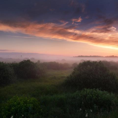 image fog_lr_0016-jpg