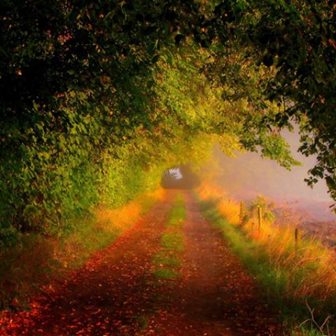 image fog_lr_0018-jpg