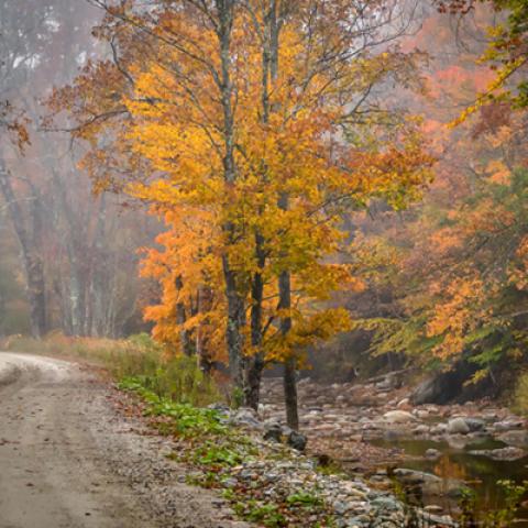 image fog_lr_0022-jpg