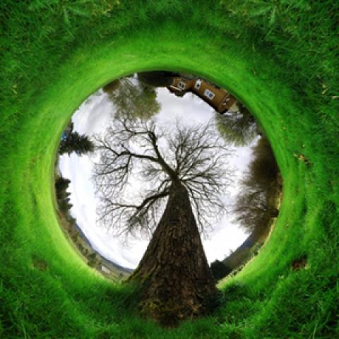 image grass_hr_0005-jpg