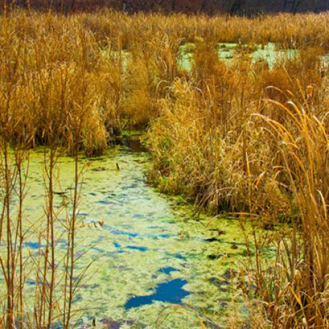 image lakes_hr_0003-jpg