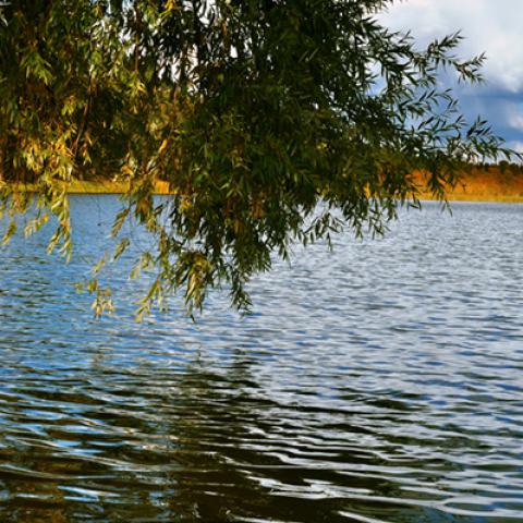 image lakes_hr_0004-jpg
