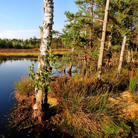 image lakes_hr_0006-jpg