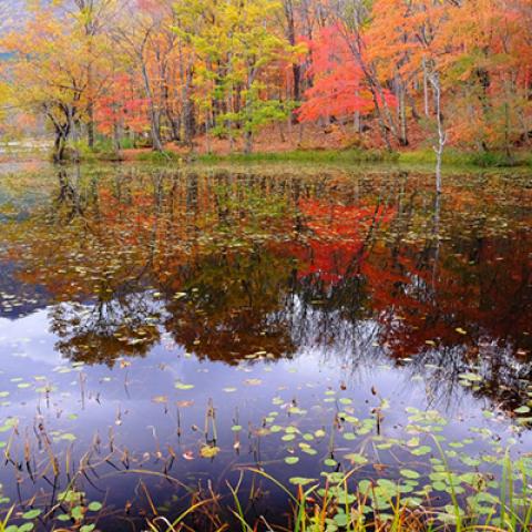 image lakes_lr_0001-jpg