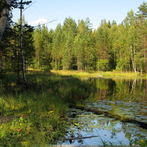 image lakes_lr_0003-jpg