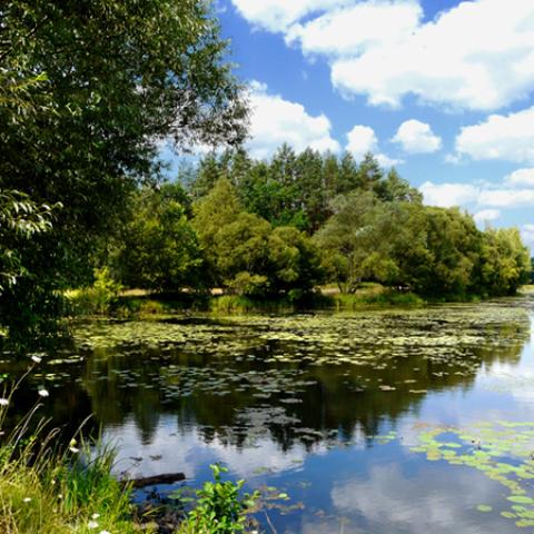 image lakes_lr_0006-jpg