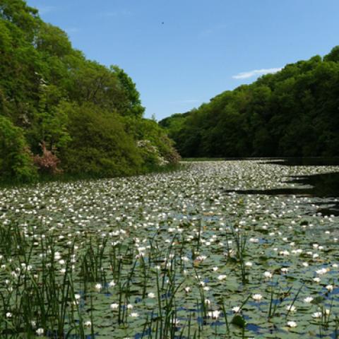 image lakes_lr_0008-jpg