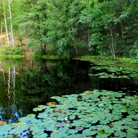 image lakes_lr_0009-jpg