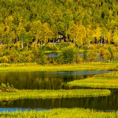 image lakes_lr_0012-jpg
