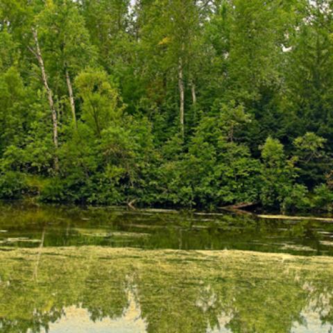 image lakes_lr_0017-jpg