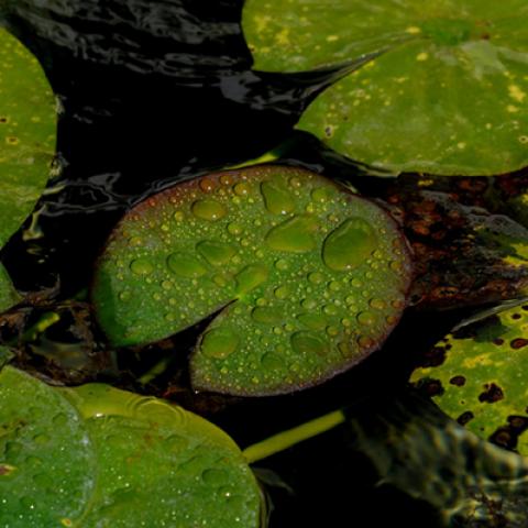 image lakes_lr_0026-jpg