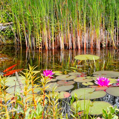 image lakes_lr_0029-jpg