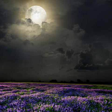 image moon_hr_0002-jpg