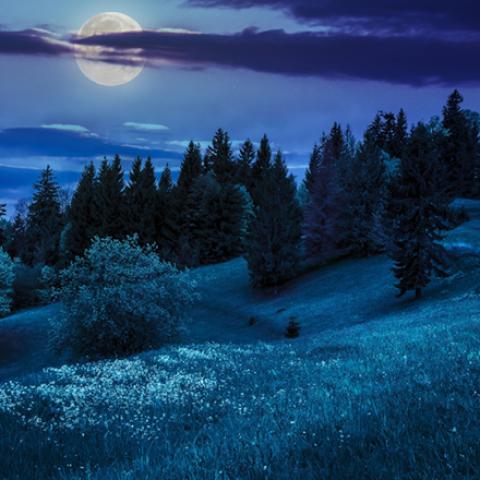 image moon_lr_0002-jpg