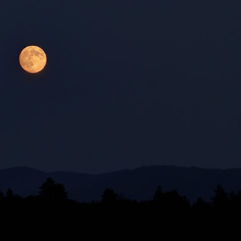 image moon_lr_0006-jpg
