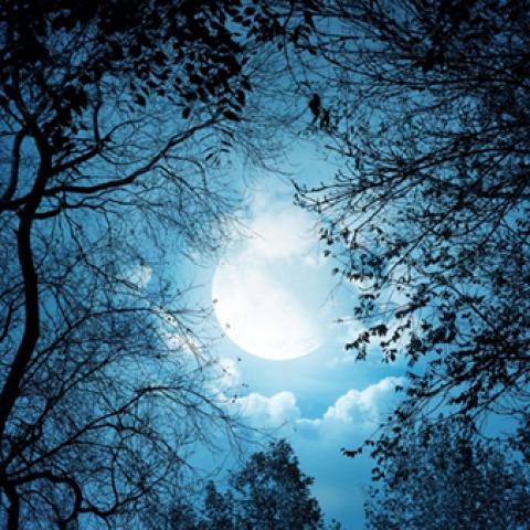 image moon_lr_0008-jpg