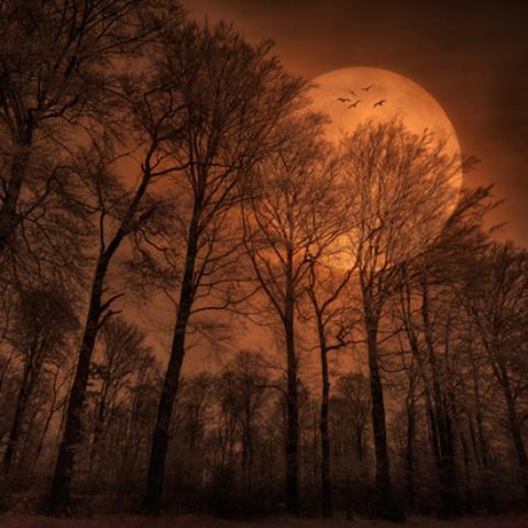 image moon_lr_0011-jpg