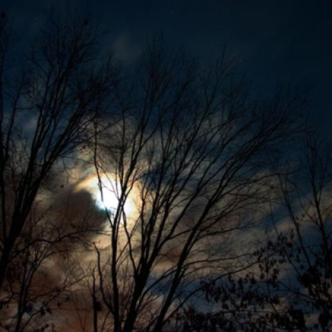 image moon_lr_0012-jpg