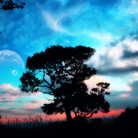 image moon_lr_0014-jpg