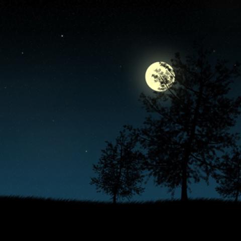 image moon_lr_0016-jpg