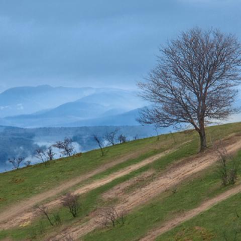 image mountains_hr_0010-jpg