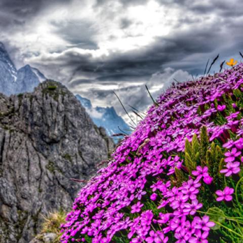 image mountains_lr_0003-jpg