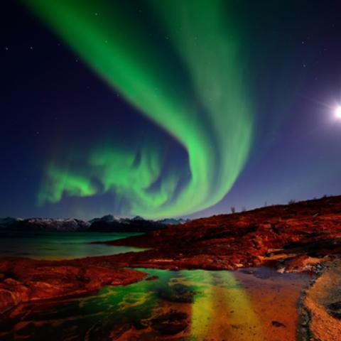 image phenomena_lr_0011-jpg