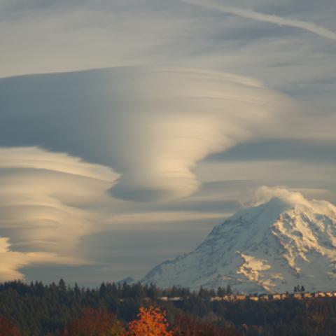 image phenomena_lr_0029-jpg