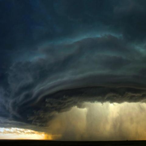 image phenomena_lr_0031-jpg