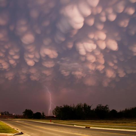 image phenomena_lr_0033-jpg