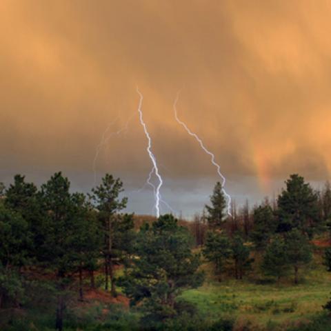 image phenomena_lr_0040-jpg