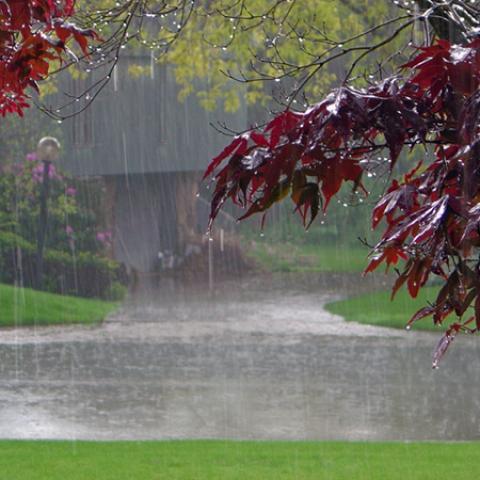 image rain_lr_0002-jpg